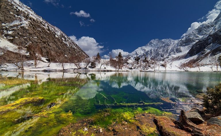 نلتر نامہ