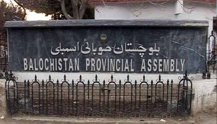 بلوچستان اسمبلی : آزاد ووٹر ہے نہیں مگر آزاد امید وار موجود ہیں