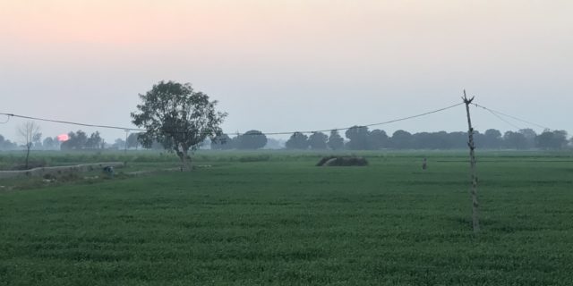 کیا پاکستان میں اب بھی جاگیرداری ہے؟