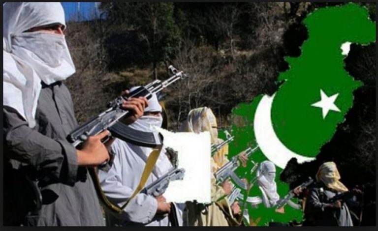 دہشت گردی کا مسئلہ سنجیدہ بنیادوں پر حل کرنا ضروری ہے