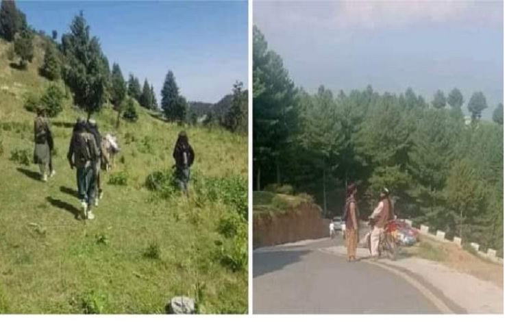 طالبان کی ممکنہ واپسی، اِس بار مختلف کیا ہے؟