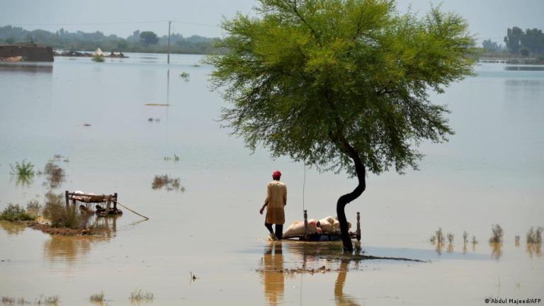 کڑے اور مشکل وقت میں ہماری سماجی اخلاقیات کے نمونے
